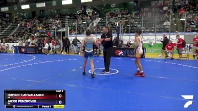 114 lbs Champ. Round 1 - Dominic Cadwallader, PA vs Jacob Penzkover, WI