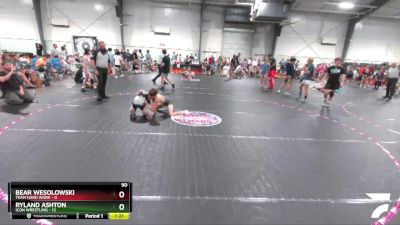 90 lbs Semis (4 Team) - Bear Wesolowski, Team Hard Work vs Ryland ...