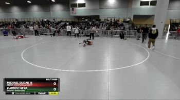 77 lbs Cons. Round 5 - Maddox Mejia, Prodigy Wrestling vs Michael Dudak Iii, Region Wrestling Academy