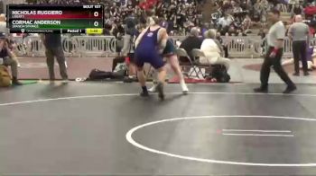 220 lbs Quarterfinal - Nicholas Ruggiero, Liberty vs Cormac Anderson, Spanish Springs.