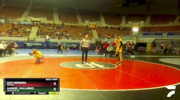 D3-157 lbs Champ. Round 1 - Gabriel Gallardo, Sahuarita Hs vs Levi Herrera, Payson