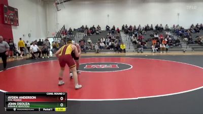 175 lbs Cons. Round 2 - John DSouza, Dubuque Hempstead vs Ayden Anderson, PCM, Monroe