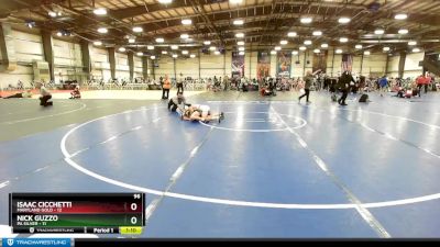 96 lbs Rd# 10- 4:00pm Saturday Final Pool - Isaac Cicchetti, Maryland Gold vs Nick Guzzo, PA Silver