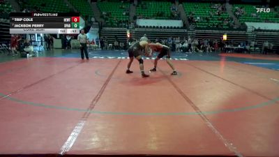 7A 175 lbs Cons. Semi - Trip Cole, Hewitt-Trussville vs Jackson Perry, Sparkman