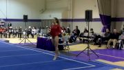 W FX CO Brown, Michelle Shnayder (9.775).MOV