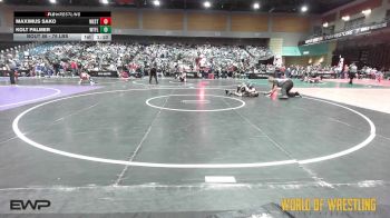76 lbs Quarterfinal - Maximus Sako, Westshore Wrestling Club vs Kolt Palmer, Well Trained