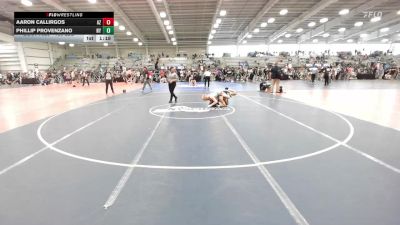 138 lbs Round Of 32 - Aaron Callirgos, AZ vs Phillip Provenzano, NY