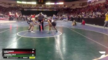 5A 160 lbs Champ. Round 1 - Conner Cole, Volcano Vista vs Luis Godoy, Roswell