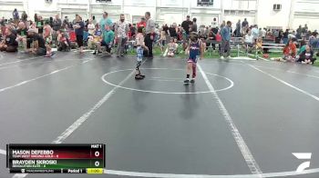 44 lbs Round 2 (6 Team) - Mason DeFebbo, Team West Virginia Gold vs Brayden Skroski, Revolution Elite