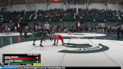 133 lbs Champ. Round 1 - Jesse Mendez, Ohio State vs Wilfried Tanefeu, Michigan