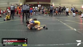 91 lbs Finals (8 Team) - Henry Golembiewski, Ares Black vs Tyler Bradley, Metro All Stars