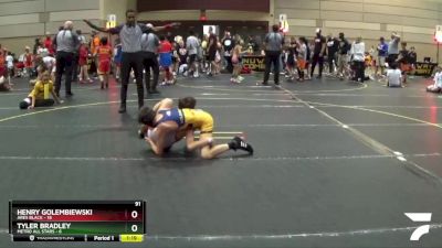 91 lbs Finals (8 Team) - Henry Golembiewski, Ares Black vs Tyler Bradley, Metro All Stars