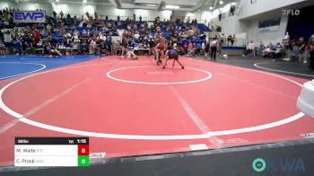 98 lbs Semifinal - Mya Waite, Tulsa Blue T Panthers vs Cara Prock, Vian Wrestling Club