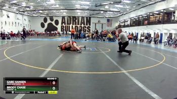 141 lbs Round 5 (6 Team) - Brody Chase, Adrian vs Gabe Hansen, Ohio Northern