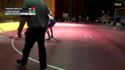 190 lbs Cons. Round 2 - Waleed Abdallah, Tinley Park (Andrew) vs Logan McCabe, Crestwood, Cresco