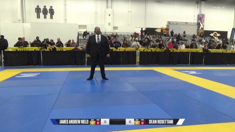 Dean Rosettani vs James Andrew Nield 2024 World IBJJF Jiu-Jitsu No-Gi Championship