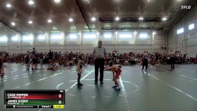 48 lbs Round 5 (8 Team) - Cade Pepper, All American vs James Susko, Phoenix WC