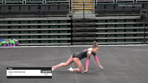 Aubri Schwartze - Floor, Triad