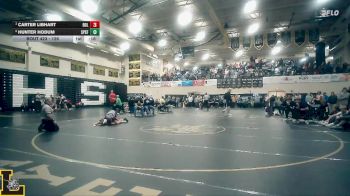 126 lbs 3rd Place Match - Carter Libhart, Rolla vs Hunter Hodum, St. Pius X (Festus)