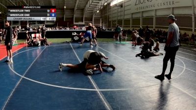 110 lbs Cons. Round 2 - Vivienne Arellano, Colorado vs Lyla Tillman, California