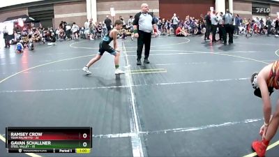 95 lbs Round 2 (6 Team) - Ramsey Crow, Team Palmetto vs Gavan Schallner, Steel Valley