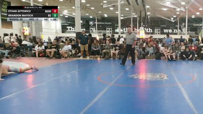 154 lbs Rr Rnd 3 - Ethan Aftewicz, Mat Assassins - HSC vs Brandon Mayock, Northeast Elites Black - HSC