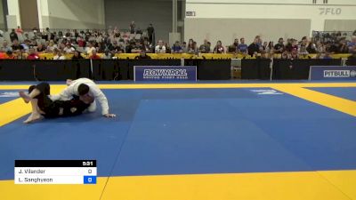 Jaakko Vilander vs Lee Sanghyeon 2024 World Masters IBJJF Jiu-Jitsu Championship