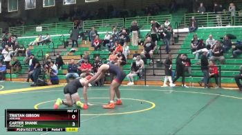 157 lbs Cons. Round 5 - Carter Shank, Marysville vs Tristan Gibson, Ashland