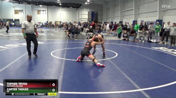 157 lbs Quarterfinal - Carter Tadusz, RIT vs Topher Tryon, Roanoke College