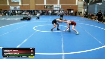 138 lbs Cons. Round 4 - Alexander Eaton, Alta vs Tate Ripplinger, Viewmont