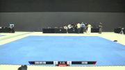 Da Ping Fan vs Finn Canning 2025 ADCC Asia & Oceania Championship
