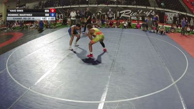 157 lbs Champ. Rd Of 16 - Kaio Sims, Nevada vs Dominic Martinez, Idaho