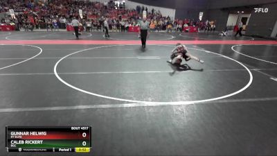 84 lbs Quarterfinal - Gunnar Helwig, RT Elite vs Caleb Rickert, BGC