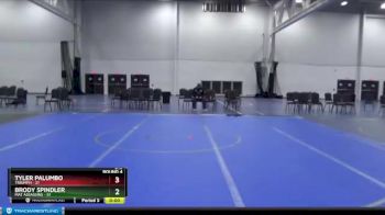 120 lbs Round 4 (8 Team) - Michael Turi, Mat Assassins vs Parker Quinn, Triumph