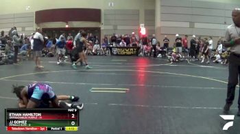 101 lbs Round 5 (6 Team) - Ethan Hamilton, Untouchables Purple vs Jj Gomez, Pitbulls Elite