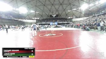 4A 157 lbs Cons. Round 1 - Logan Wade, Mount Rainier vs Zachary Bishopp, Eastlake