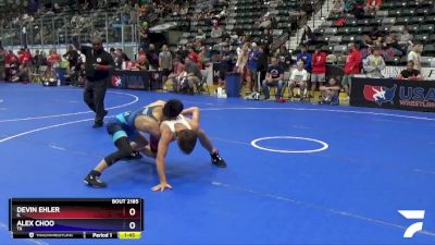 125 lbs Quarterfinal - Devin Ehler, IL vs Alex Choo, TX