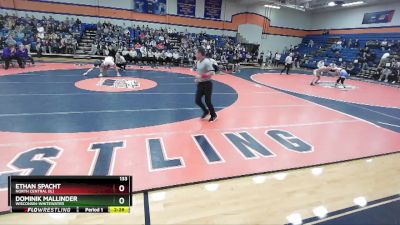 133 lbs 1st Place Match - Dominik Mallinder, Wisconsin-Whitewater vs Ethan Spacht, North Central (IL)