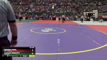 D3-165 lbs Quarterfinal - Cannon Endicott, Elmwood vs Hunter Andel, Gar. Garfield