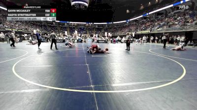 130 lbs Consy 3 - Gavin Mccauley, Penn Manor vs Hadyn Strittmatter, Central Cambria