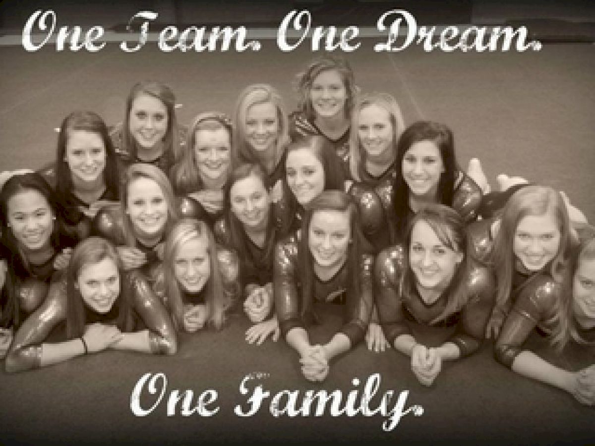 PETITION: Save Gustavus Gymnastics!