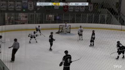 2023 San Diego Sabers vs Ontario Jr Reign - Videos - FloHockey