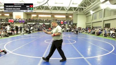 126 lbs Quarterfinal - Delmazio Despard, Windham vs Seamus Hallinan, Xavier