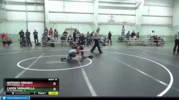 100 lbs Round 4 (8 Team) - Anthony Mrosko, Ohio Rampage vs Caden Yarnarella, PA Alliance Blue