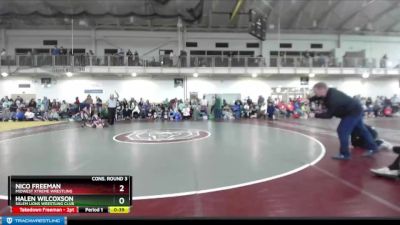 53 lbs Cons. Round 3 - Halen Wilcoxson, Salem Lions Wrestling Club vs Nico Freeman, Midwest Xtreme Wrestling