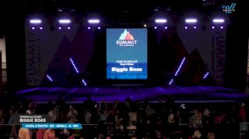 Venom Allstars - Biggie Boas [2025 L2 Youth - D2 - Small - A - WC Day 1] 2025 The Youth Summit