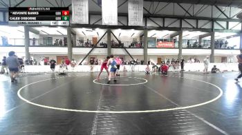 144-146 lbs Cons. Round 1 - Kevonte Banks, Decatur Eisenhower vs Caleb Osborne, PSF Wrestling Academy