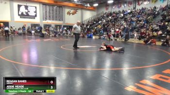 B-2 lbs Semifinal - Addie Meade, Spartan Wrestling Club vs Reagan Banes, Wrath