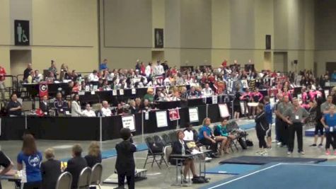 McMurtry Almost Perfect on Vault for 9.9