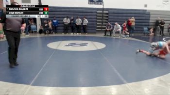 67 lbs Champ. Round 2 - Cole Butler, All In Wrestling Academy vs Brooks Pingree, All In Wrestling Academy